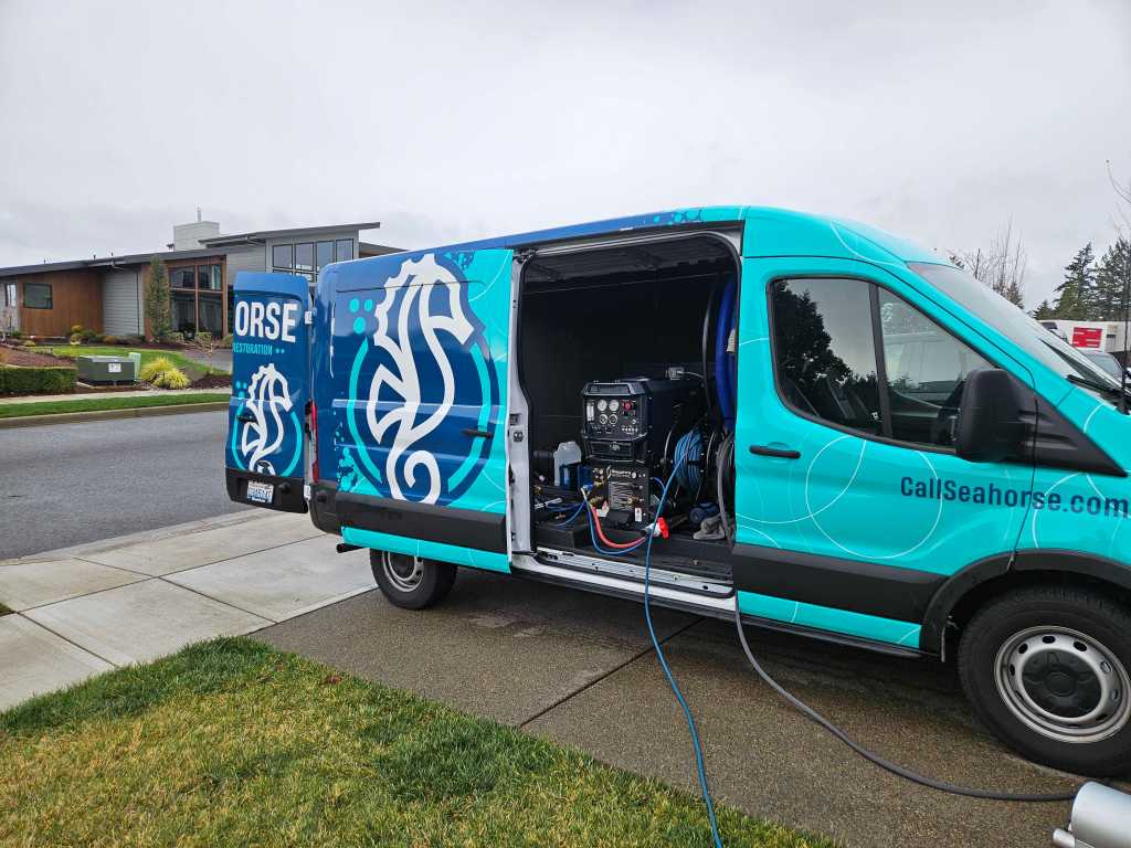 carpet-cleaning-wa.webp