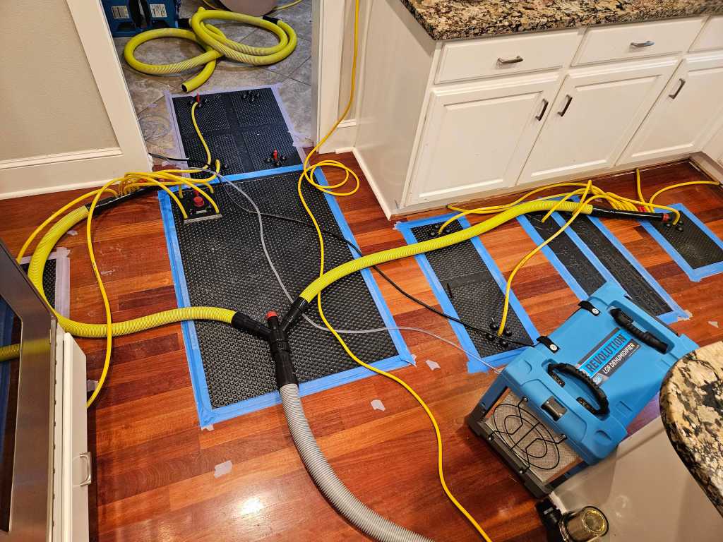 20250206_163356 carpet-cleaning-wa.webp