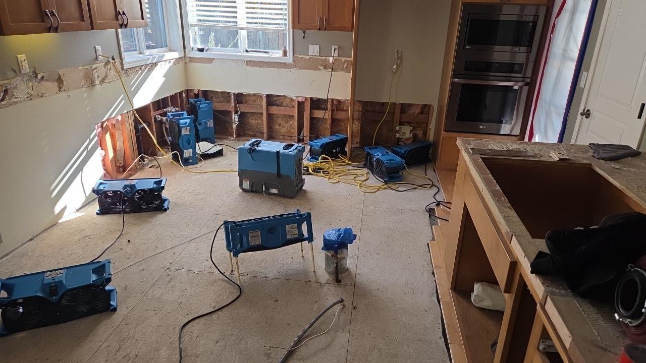 picture-1045347833 carpet-cleaning-wa.webp